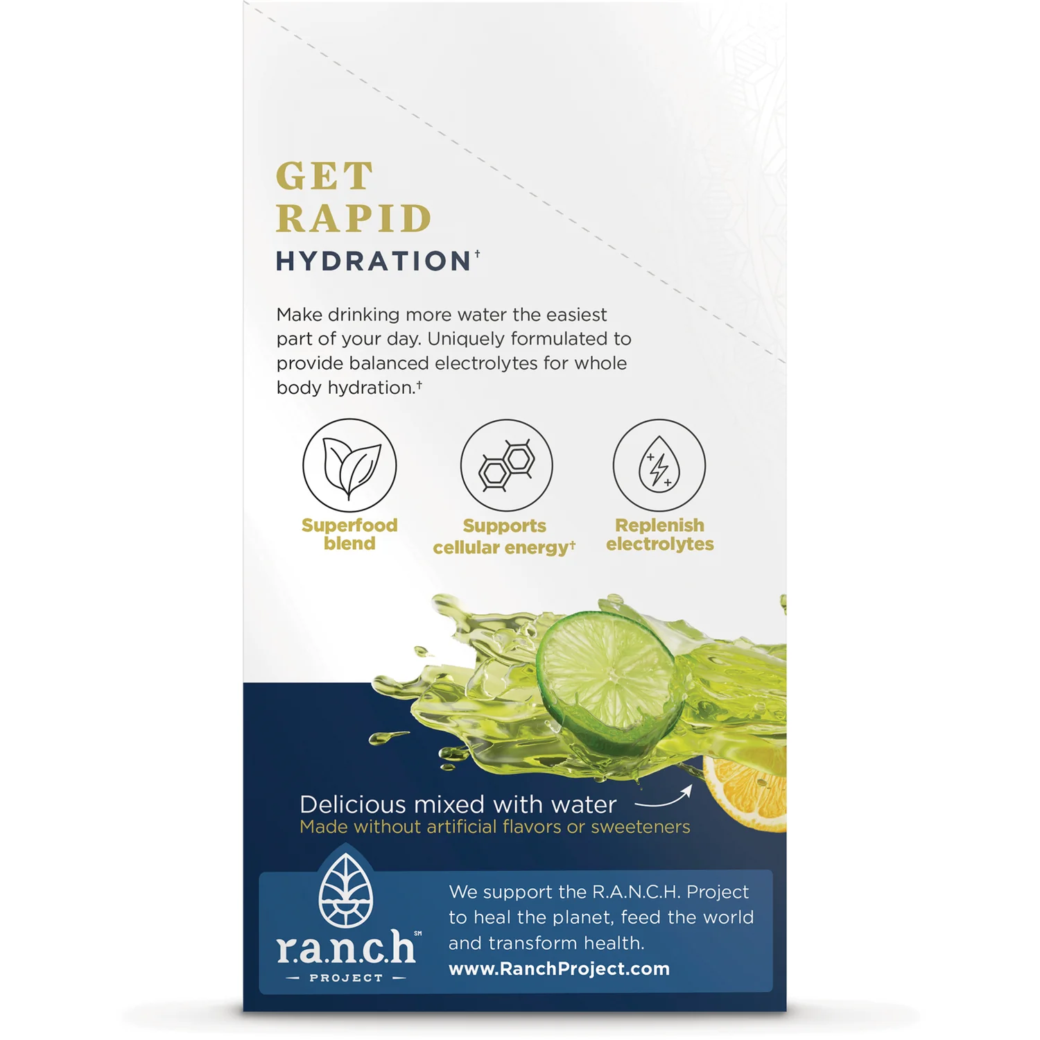 Rapid Hydration - Lemon Lime - Image 3