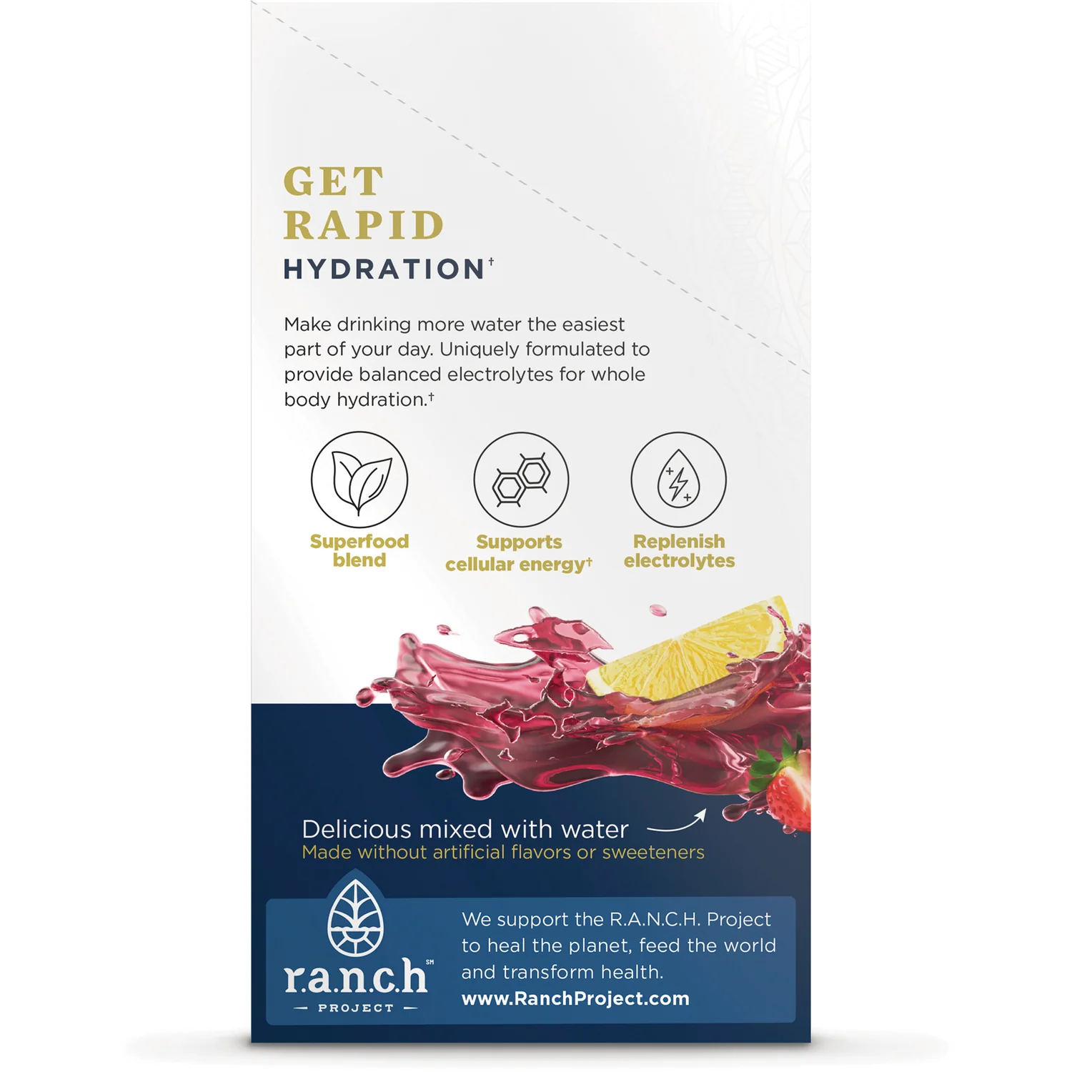 Rapid Hydration - Strawberry Lemonade - Image 3