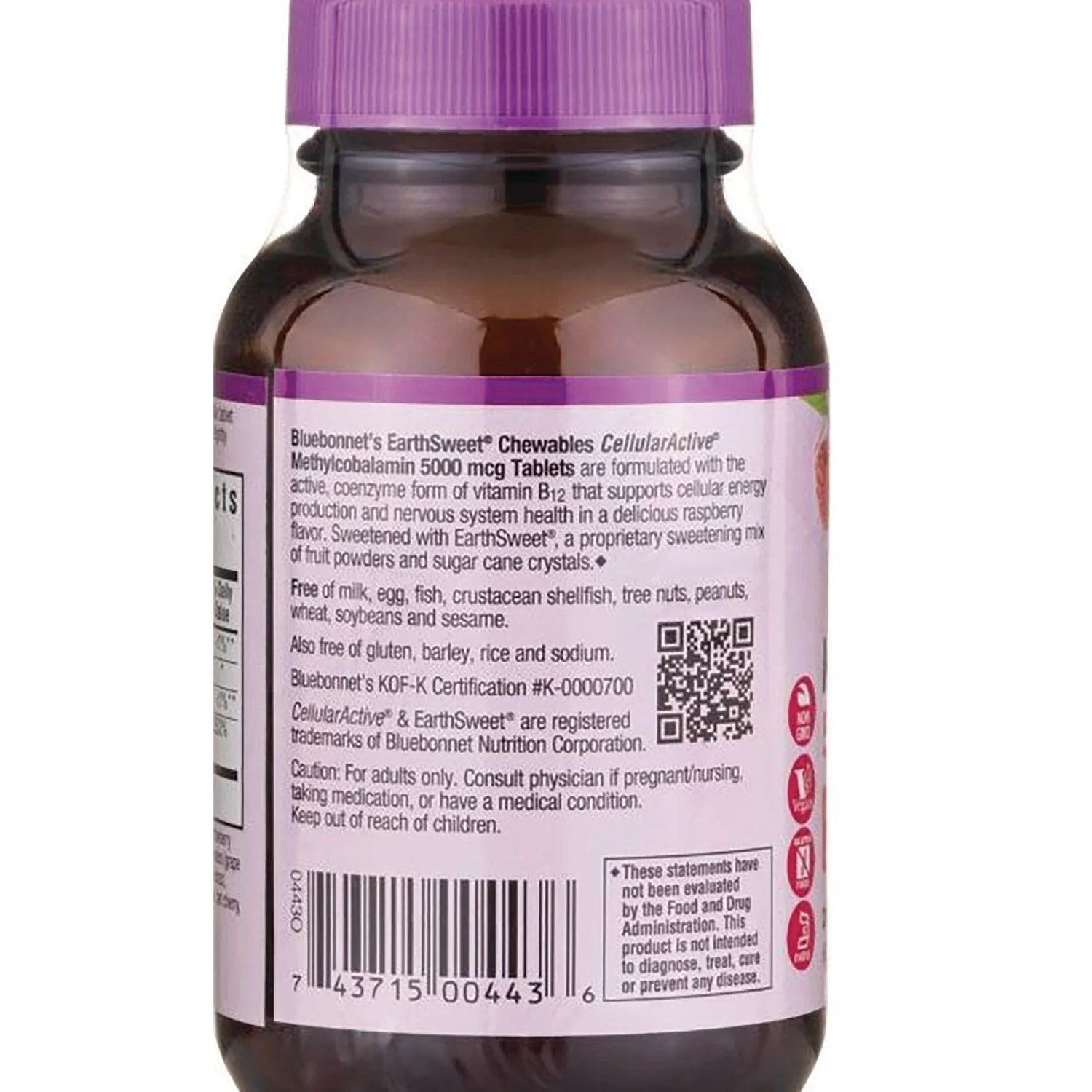 EarthSweet Chewables Methylcobalamin - Raspberry - Image 3
