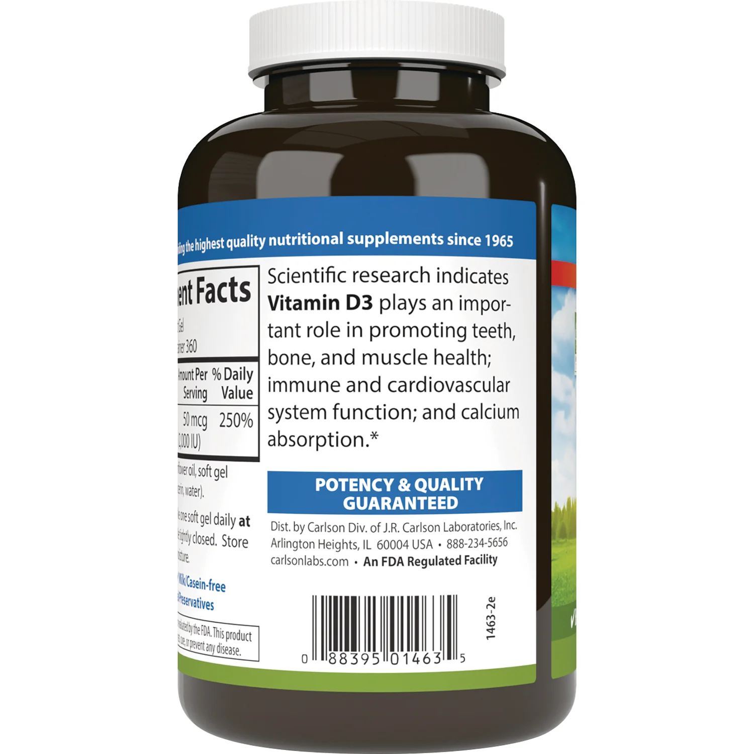 Vitamin D3 - Image 3