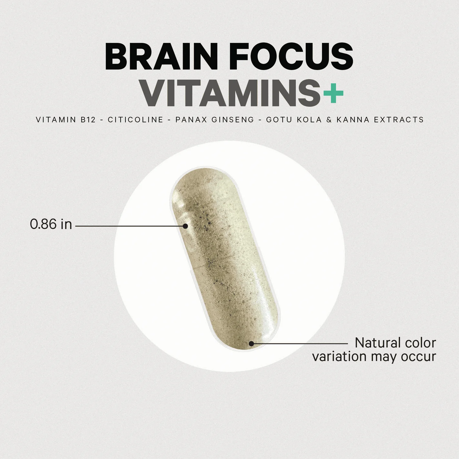 Brain Focus Vitamins+ - Image 4
