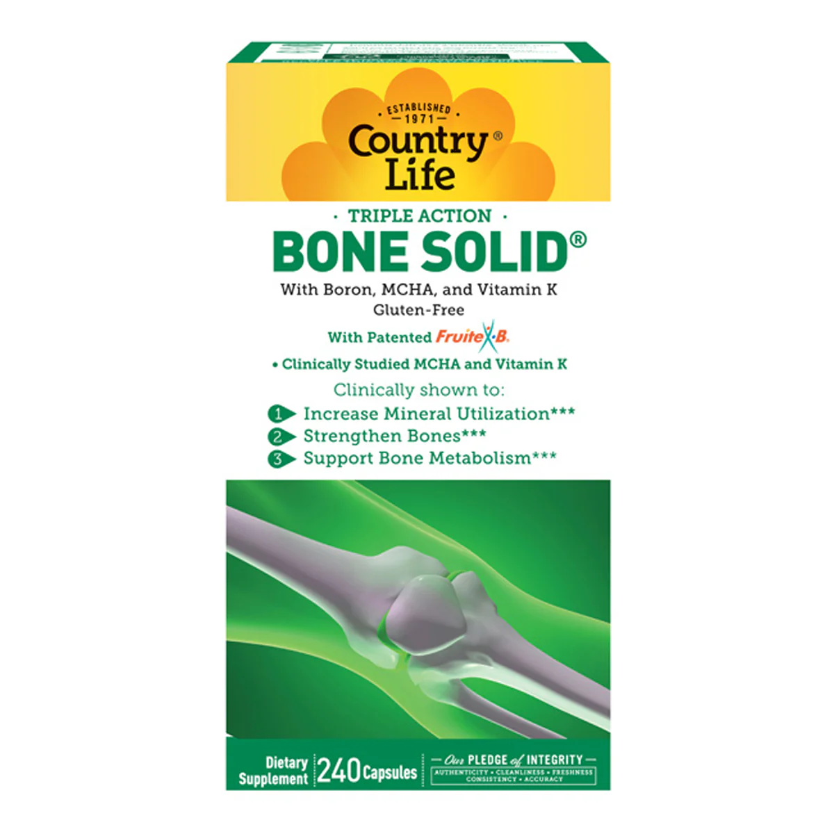 Bone Solid - Image 2
