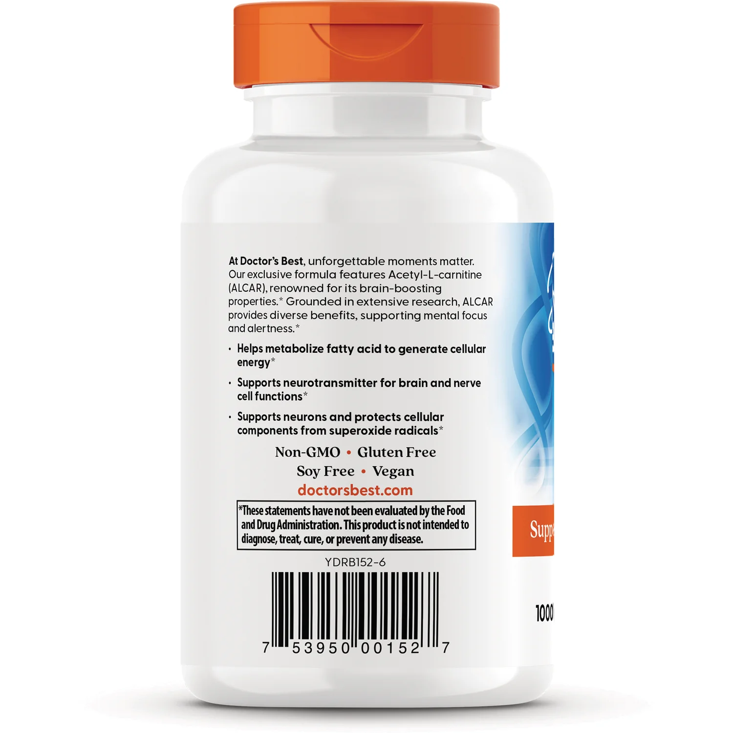 Acetyl-L-Carnitine - Image 3