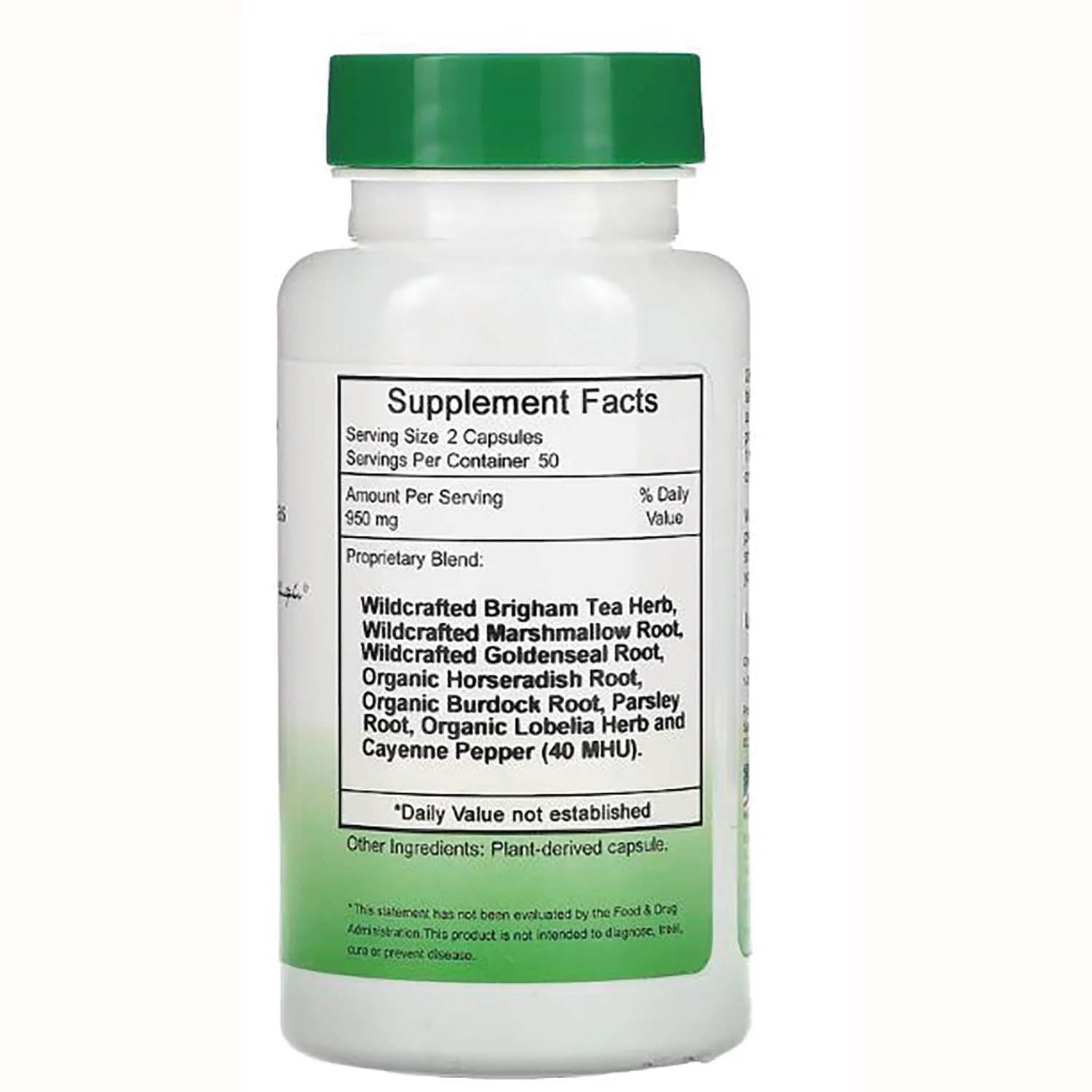 Sinus Plus Formula - Image 2