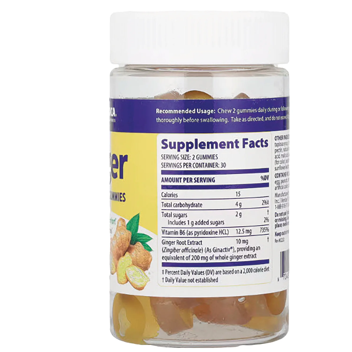 Ginger & Vitamin B6 Gummies - Lemon Ginger - Image 2