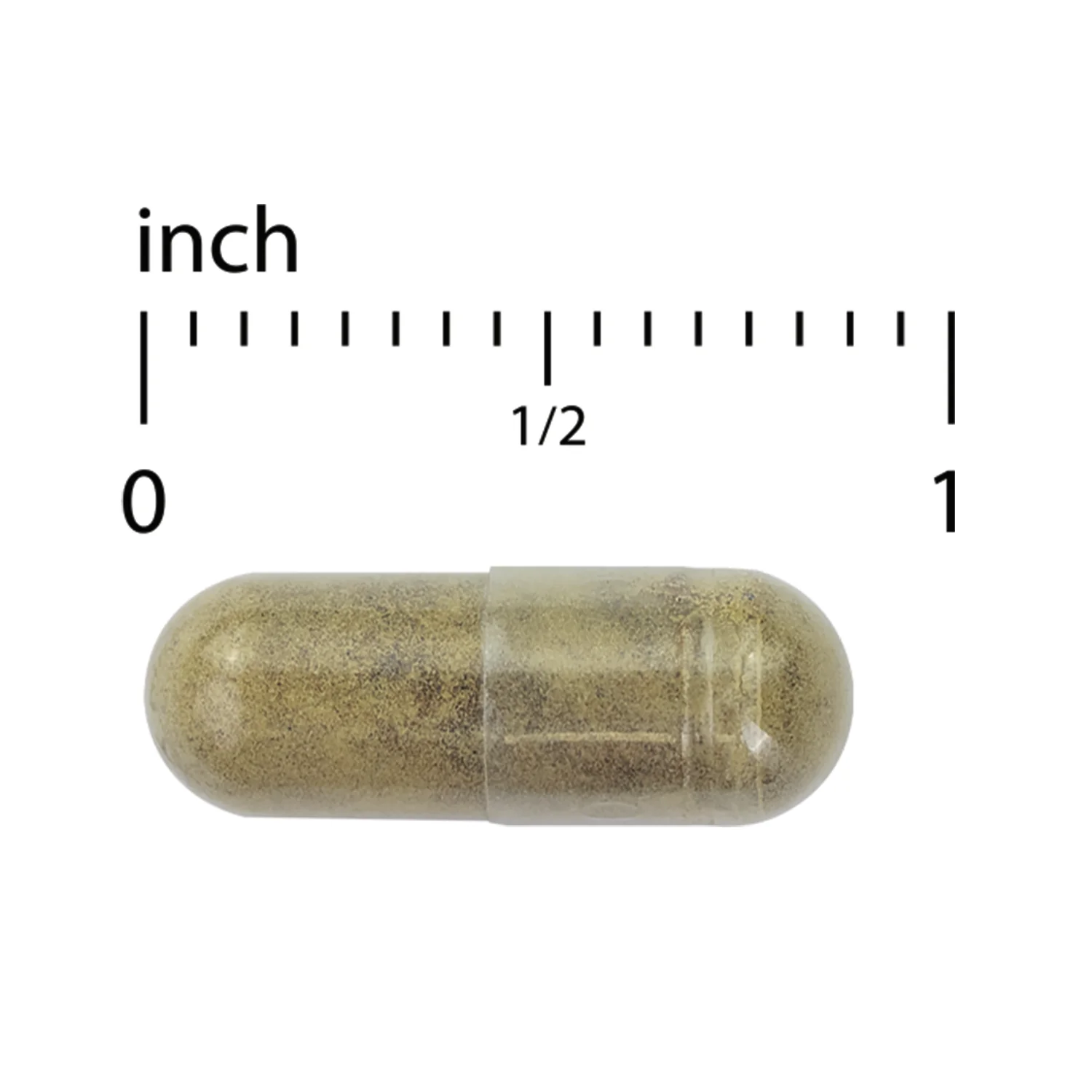 GMT23 Greek Mountain Tea + Bacopa - Image 3