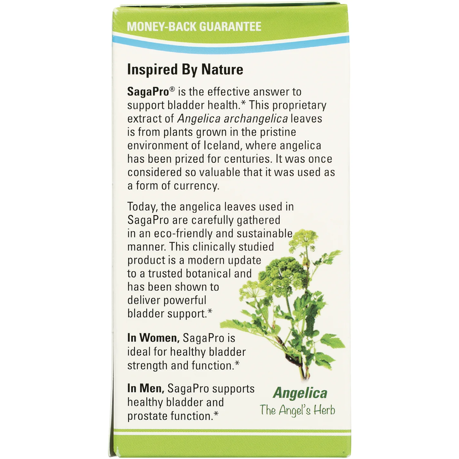 Terry Naturally SagaPro Bladder Health - Image 3