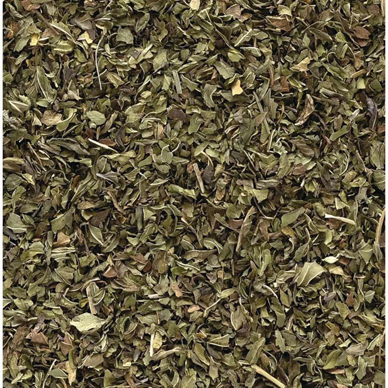 Peppermint Leaf - Cut & Sifted - Image 2
