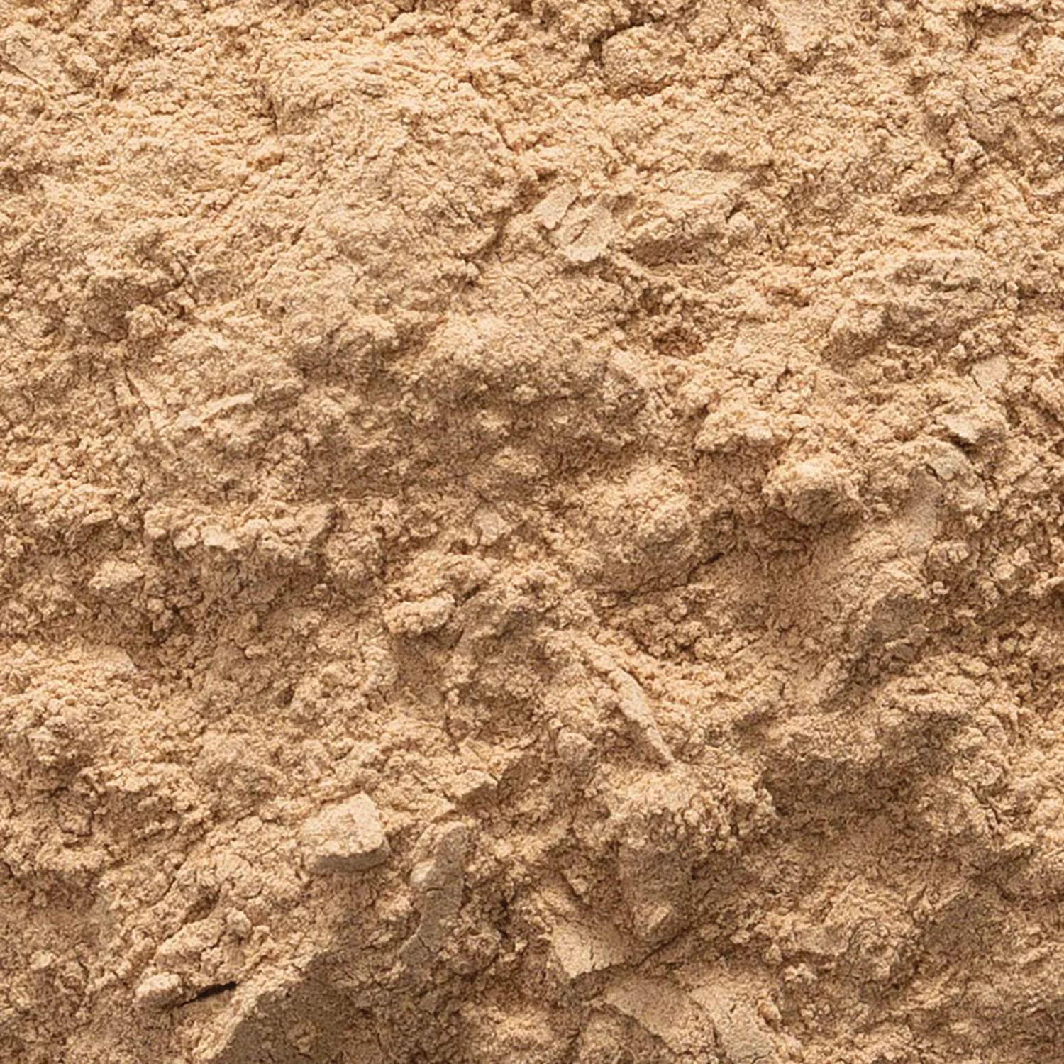 Organic Light Roasted Carob Powder - Image 2