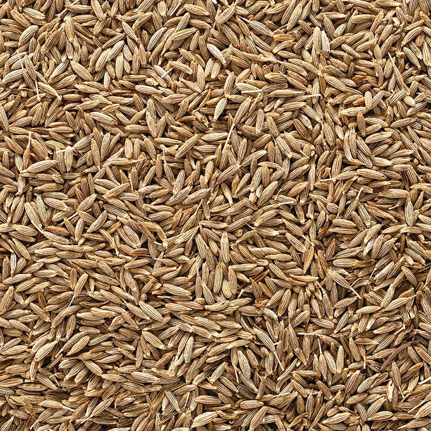 Organic Whole Cumin Seed - Image 2