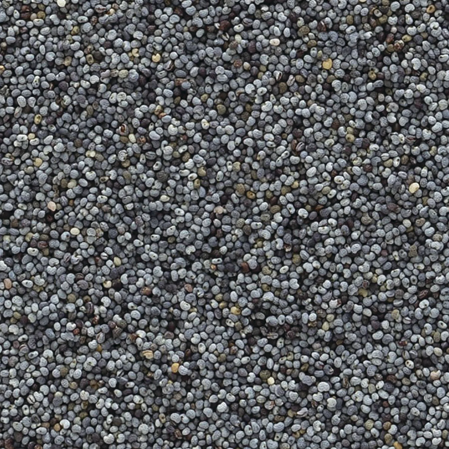 Organic Whole Poppy Seed - Image 2