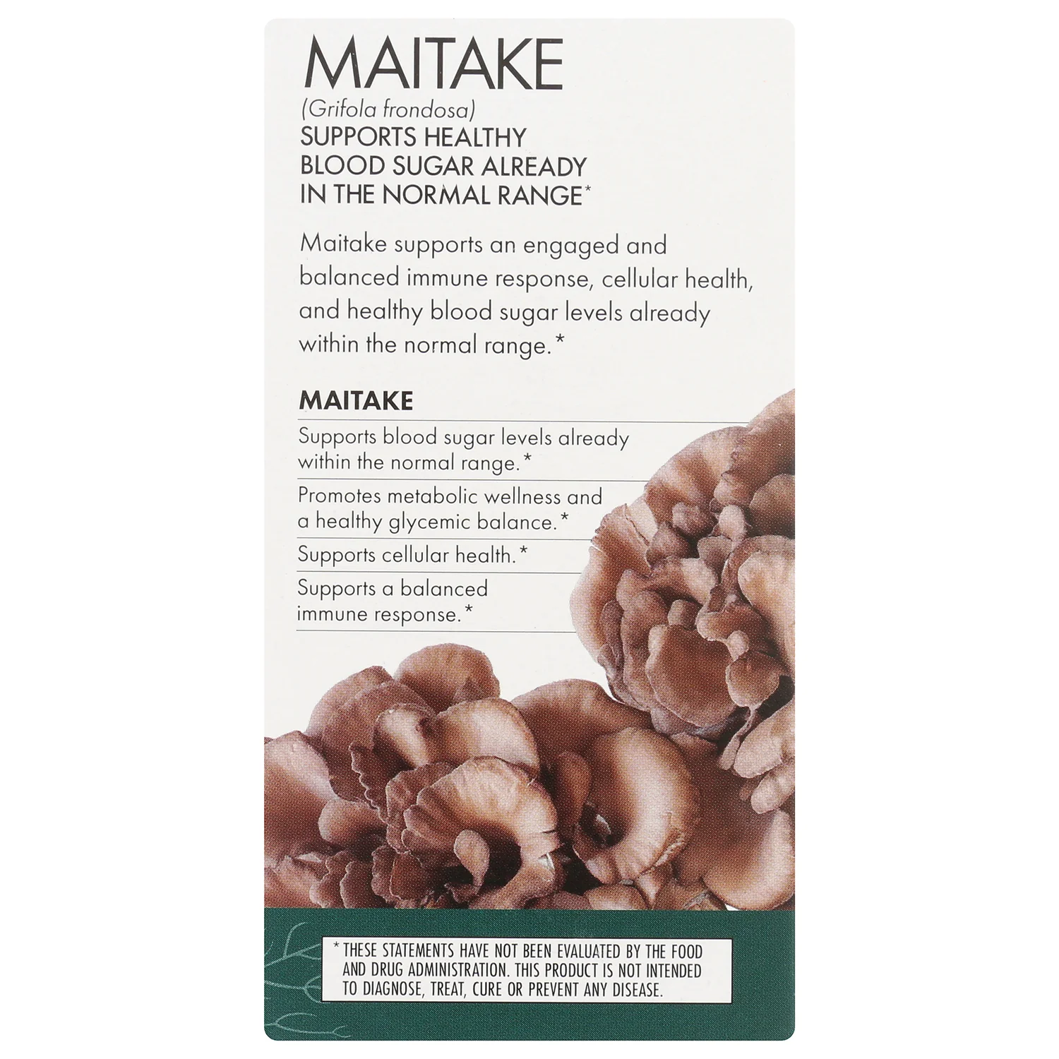 Maitake - Image 4