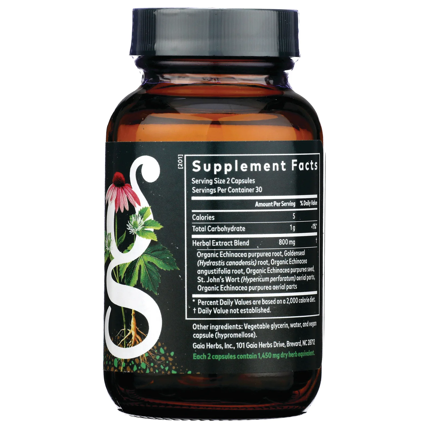 Echinacea Goldenseal - Image 2