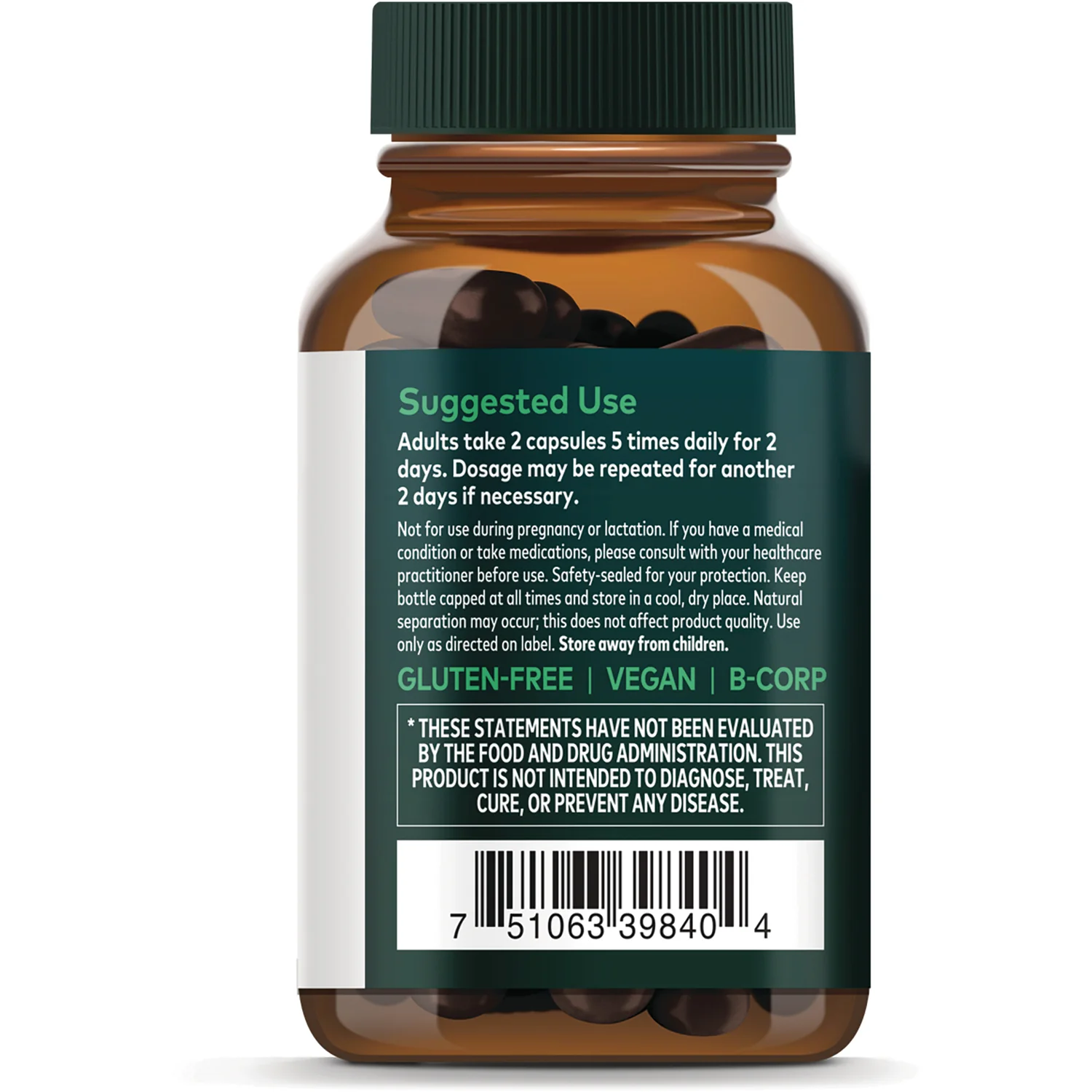 Echinacea Supreme - Image 3