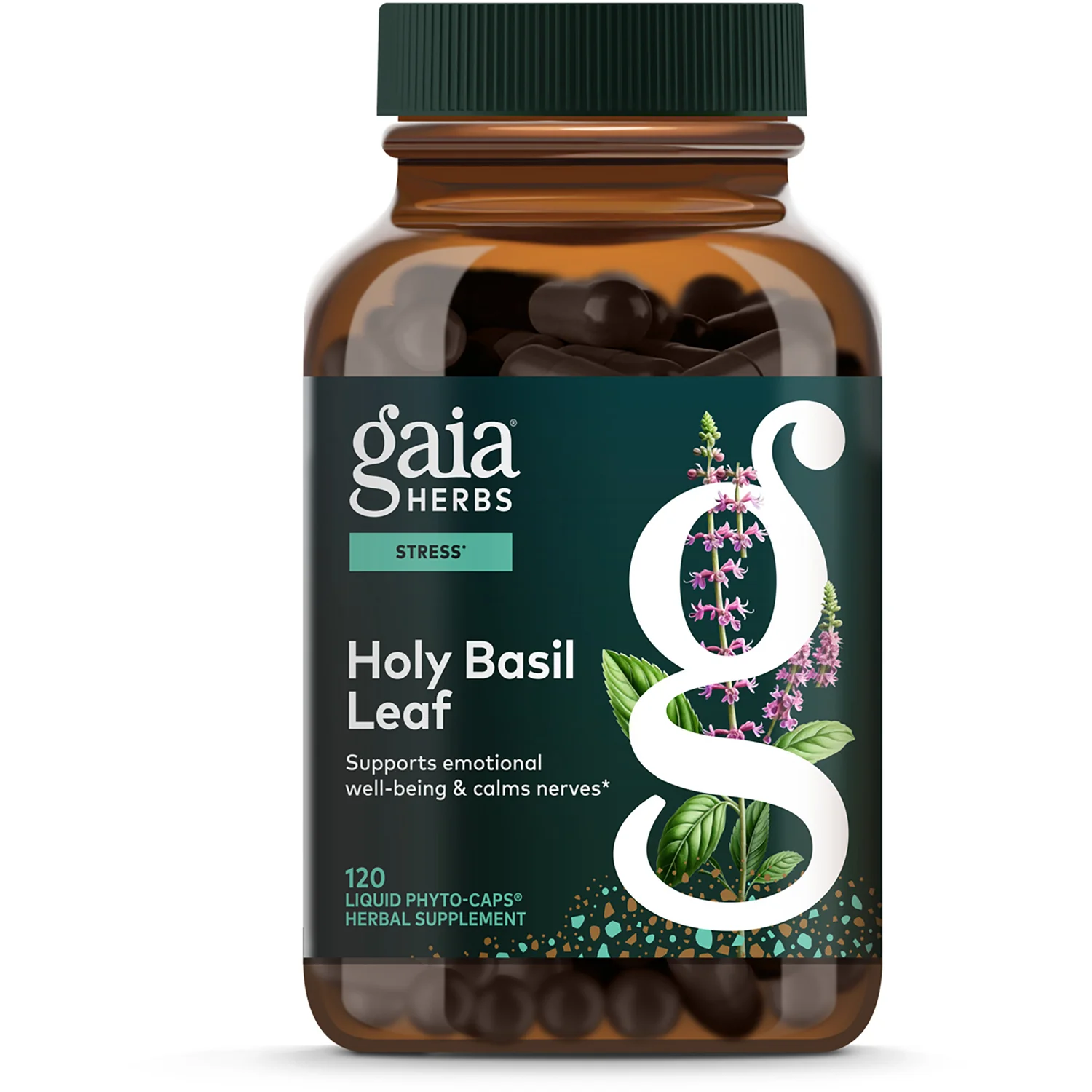 Holy Basil Leaf - Image 2