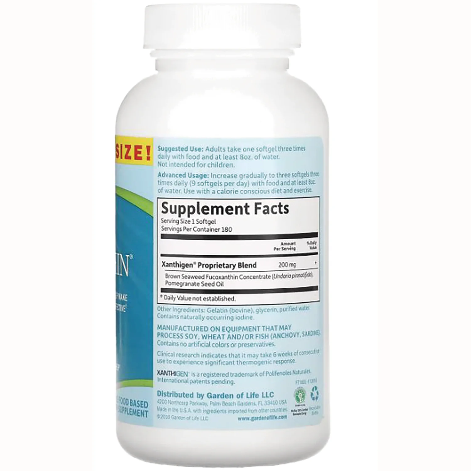 FucoTHIN - Image 2