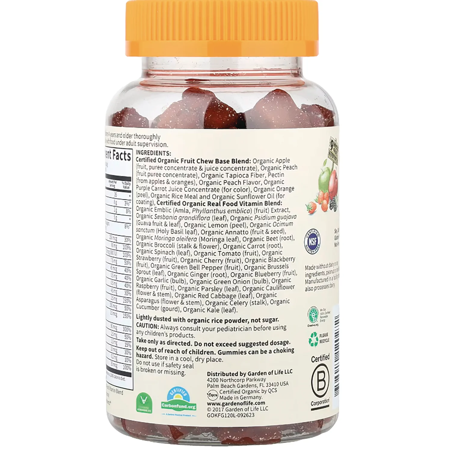Organics Kids Multi Gummies - Fruit - Image 3