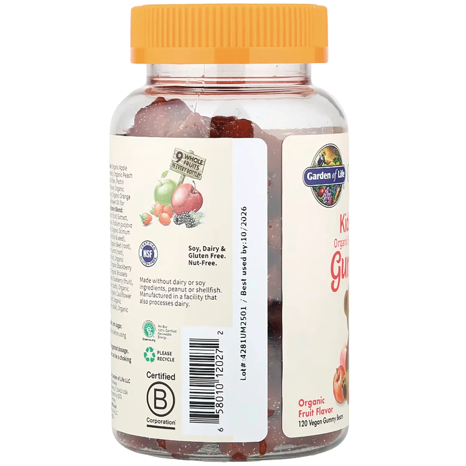Organics Kids Multi Gummies - Fruit - Image 4