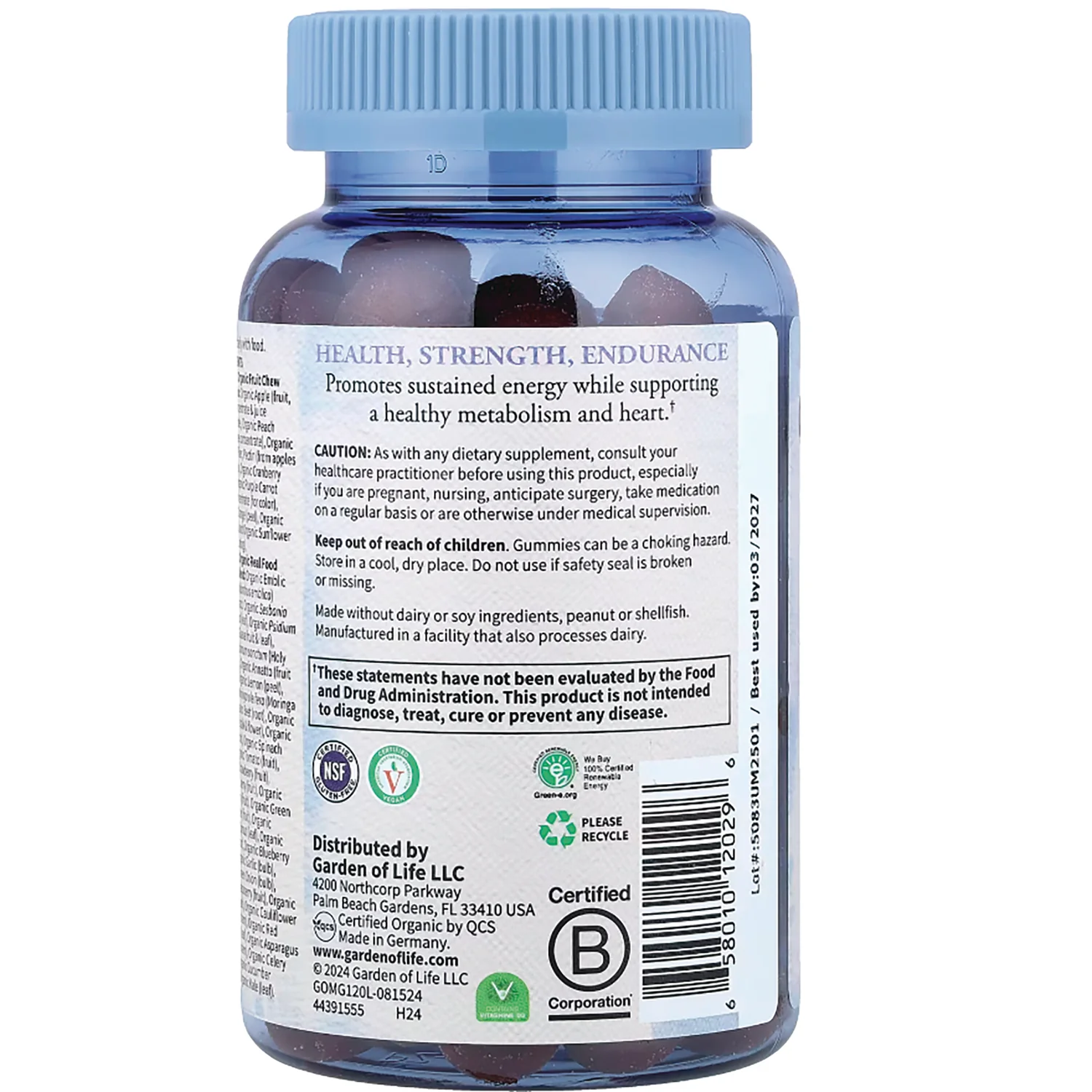 Organics Men's Multi Gummies - Berry - Image 3