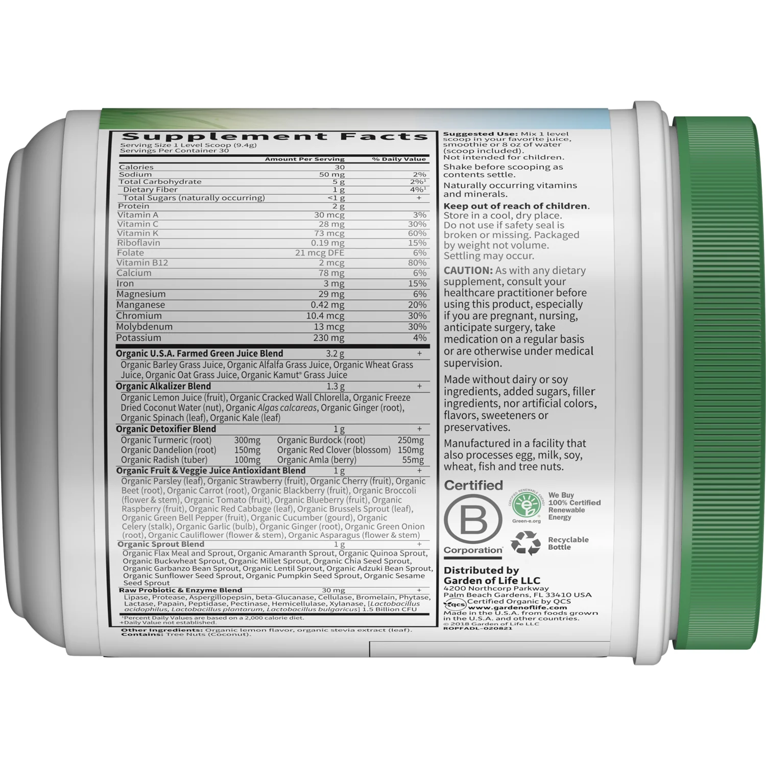 Raw Organic Perfect Food Alkalizer & Detoxifier -Lemon Ginger - Image 2