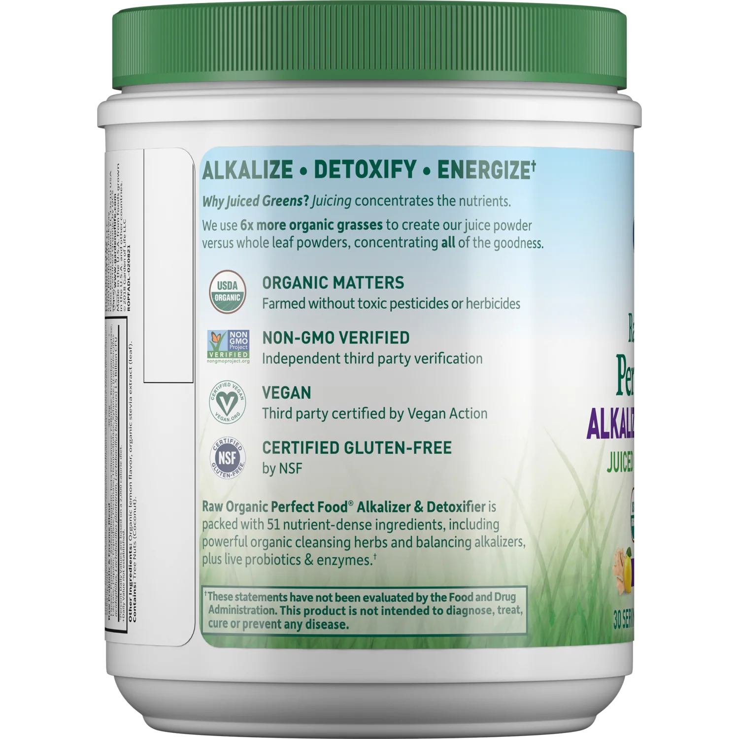 Raw Organic Perfect Food Alkalizer & Detoxifier -Lemon Ginger - Image 3