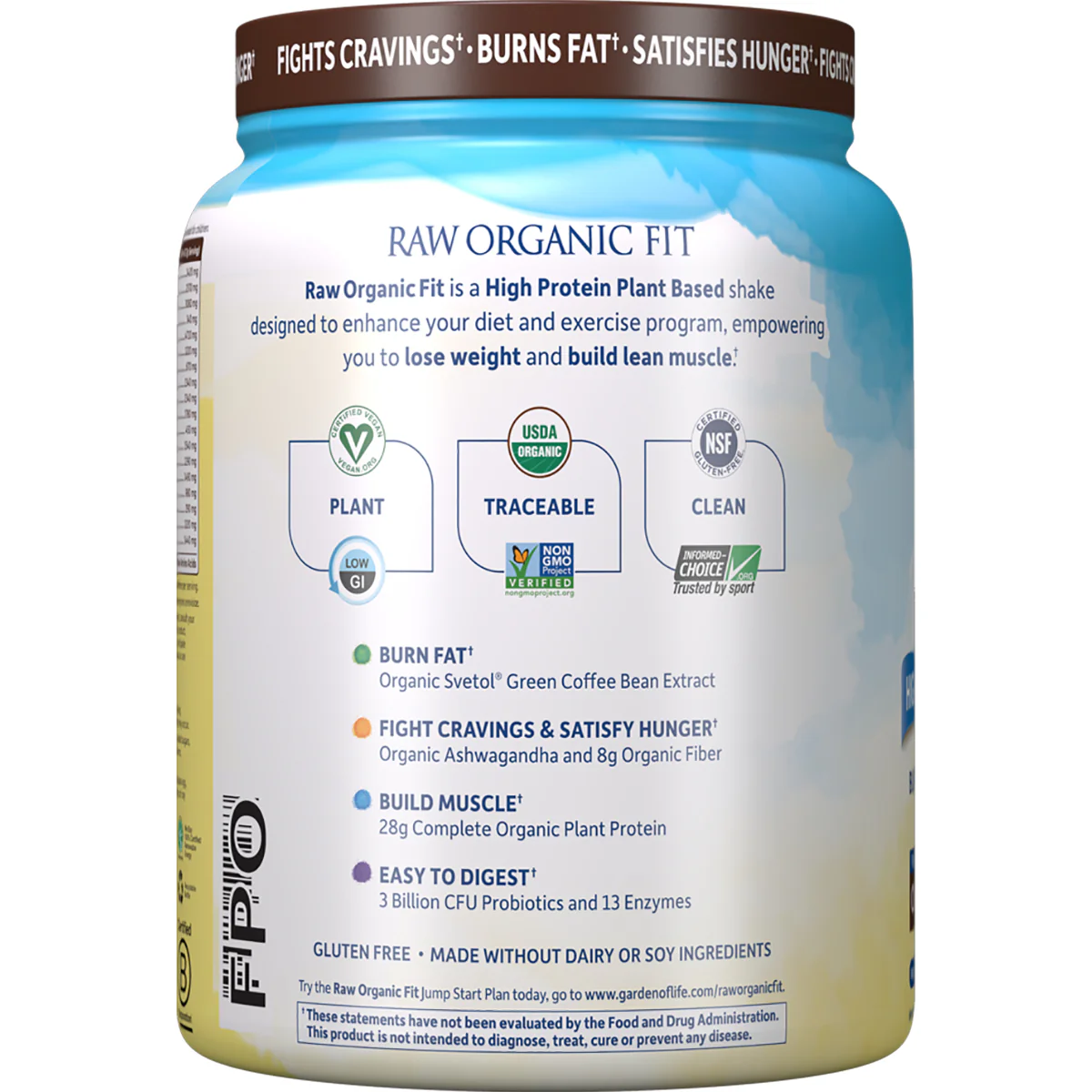 Raw Organic Fit High Protein for Weight Loss - Chocolate - Image 3