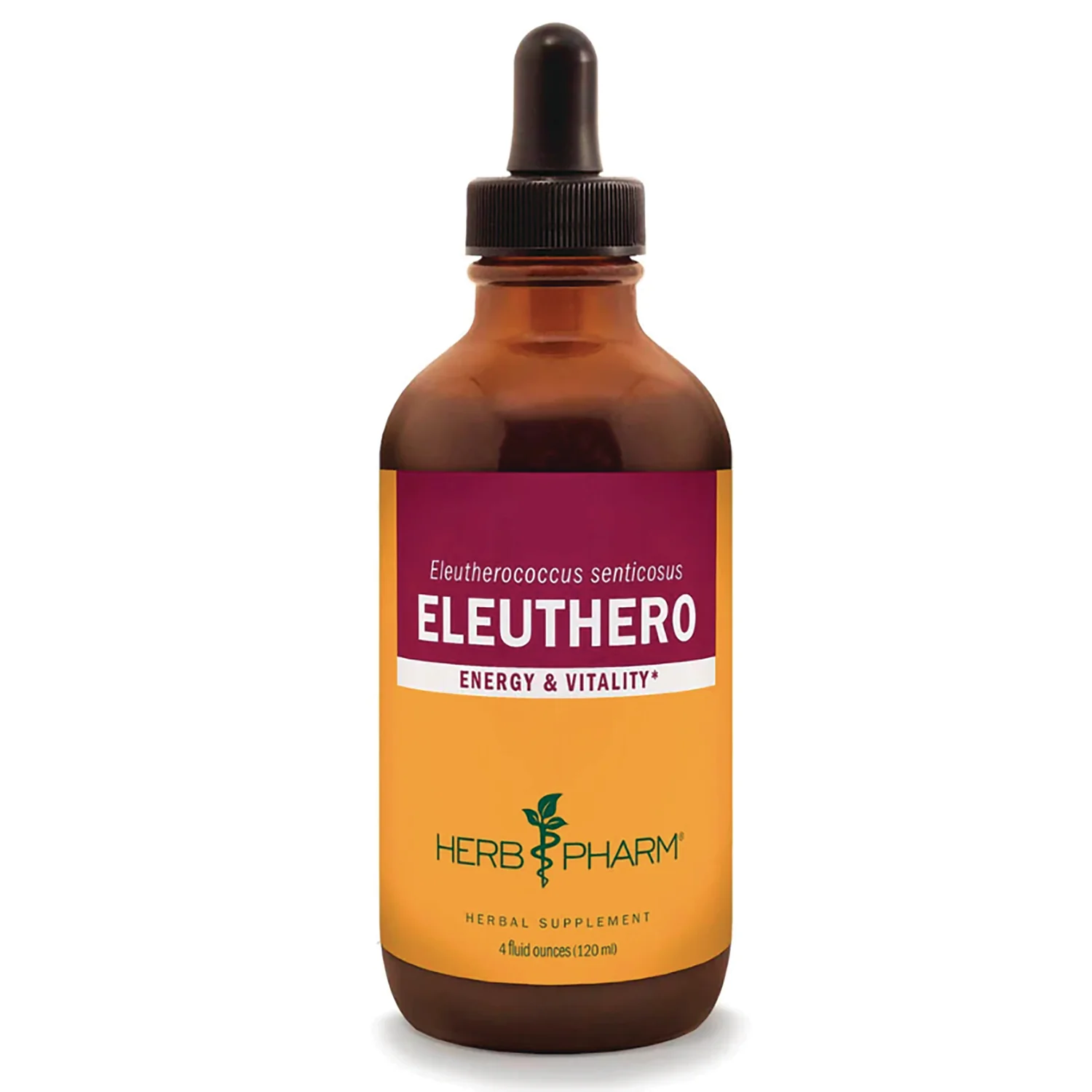 Eleuthero - Image 2