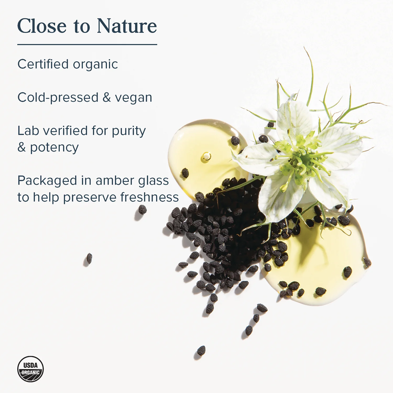 Black Seed Oil - Image 4