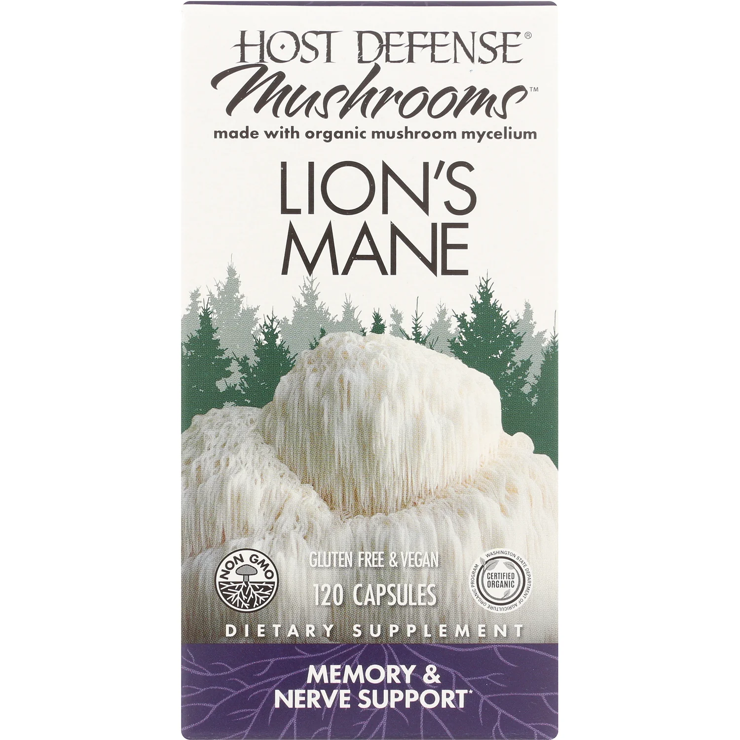 Lion's Mane - Image 2