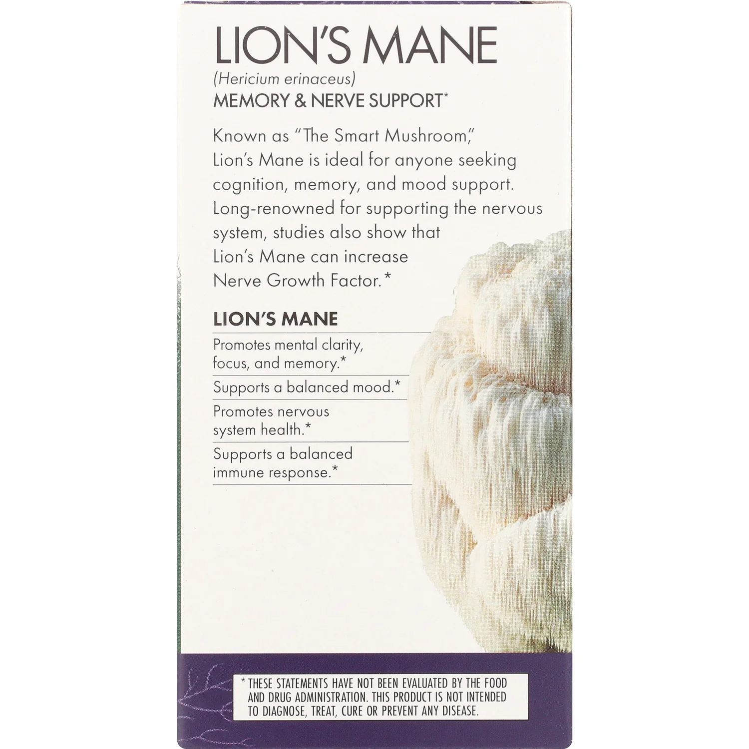 Lion's Mane - Image 4
