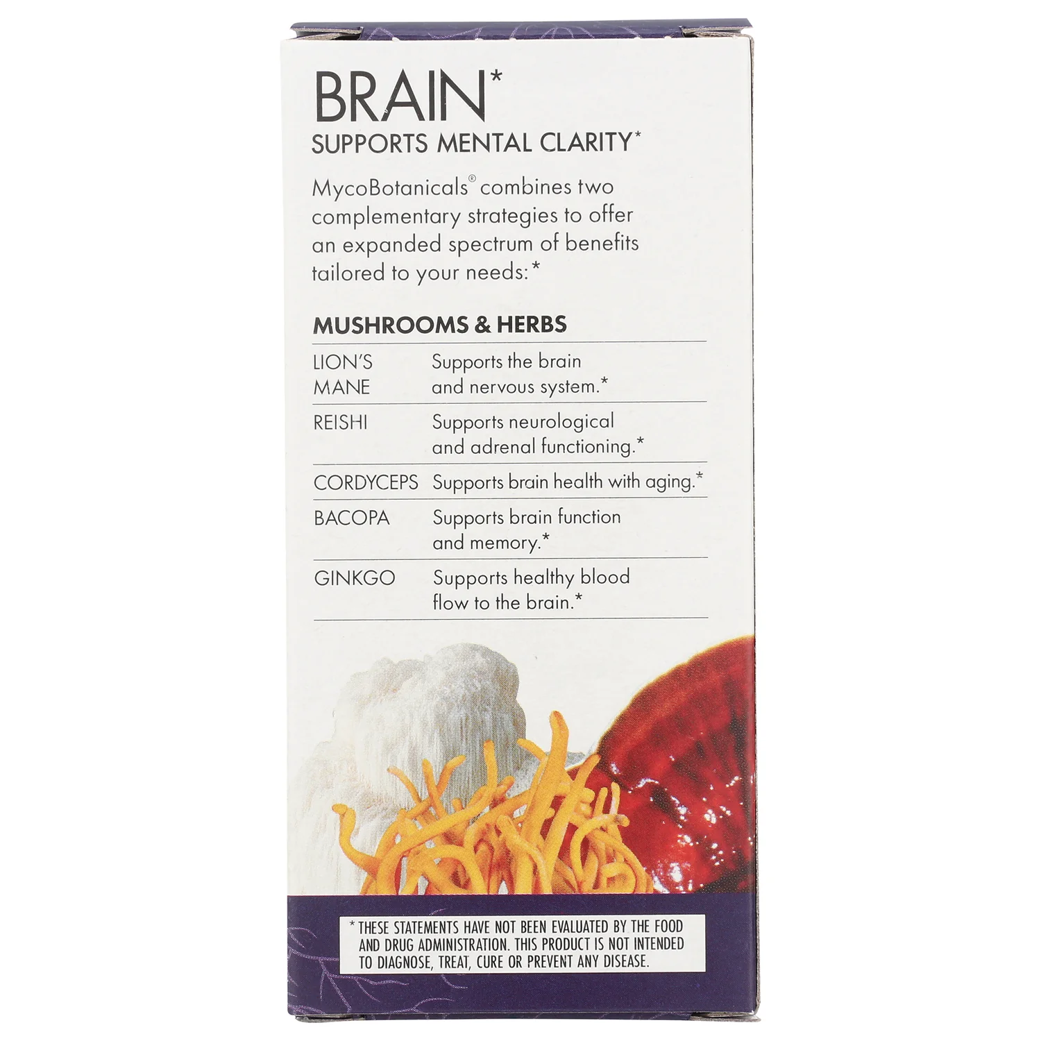 MYCO Botanicals Brain - Image 3