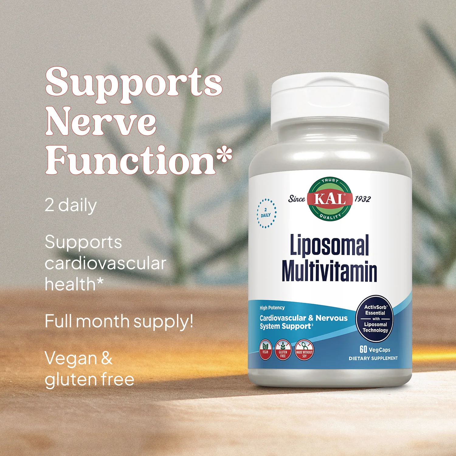 Liposomal Multivitamin - Image 3