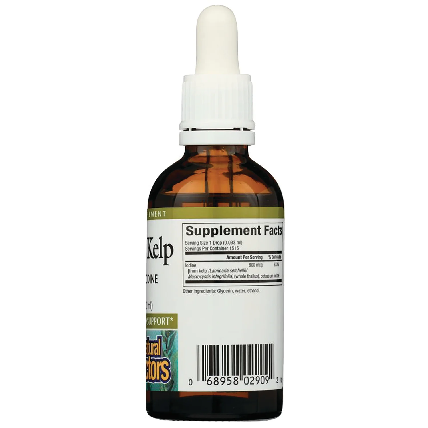 Liquid Kelp - Image 2