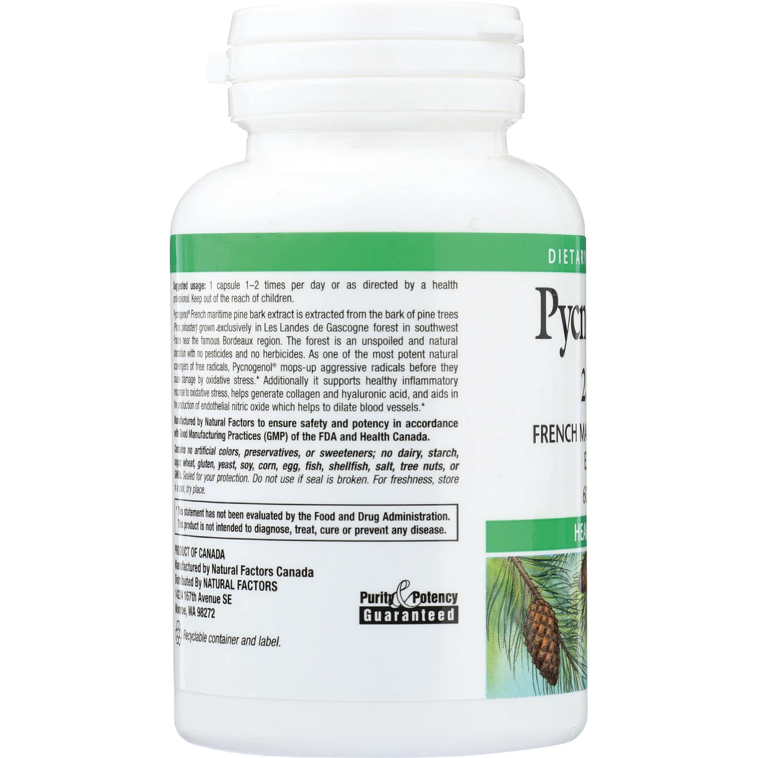 Pycnogenol - Image 4