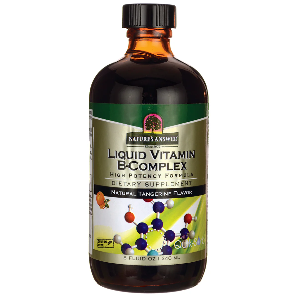 Liquid Vitamin B-Complex with Quik-Sorb - NaturalTangerine