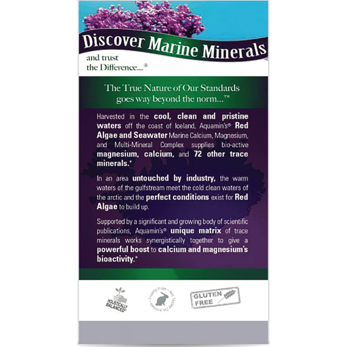 Plant Based Cal-Mag - Image 3