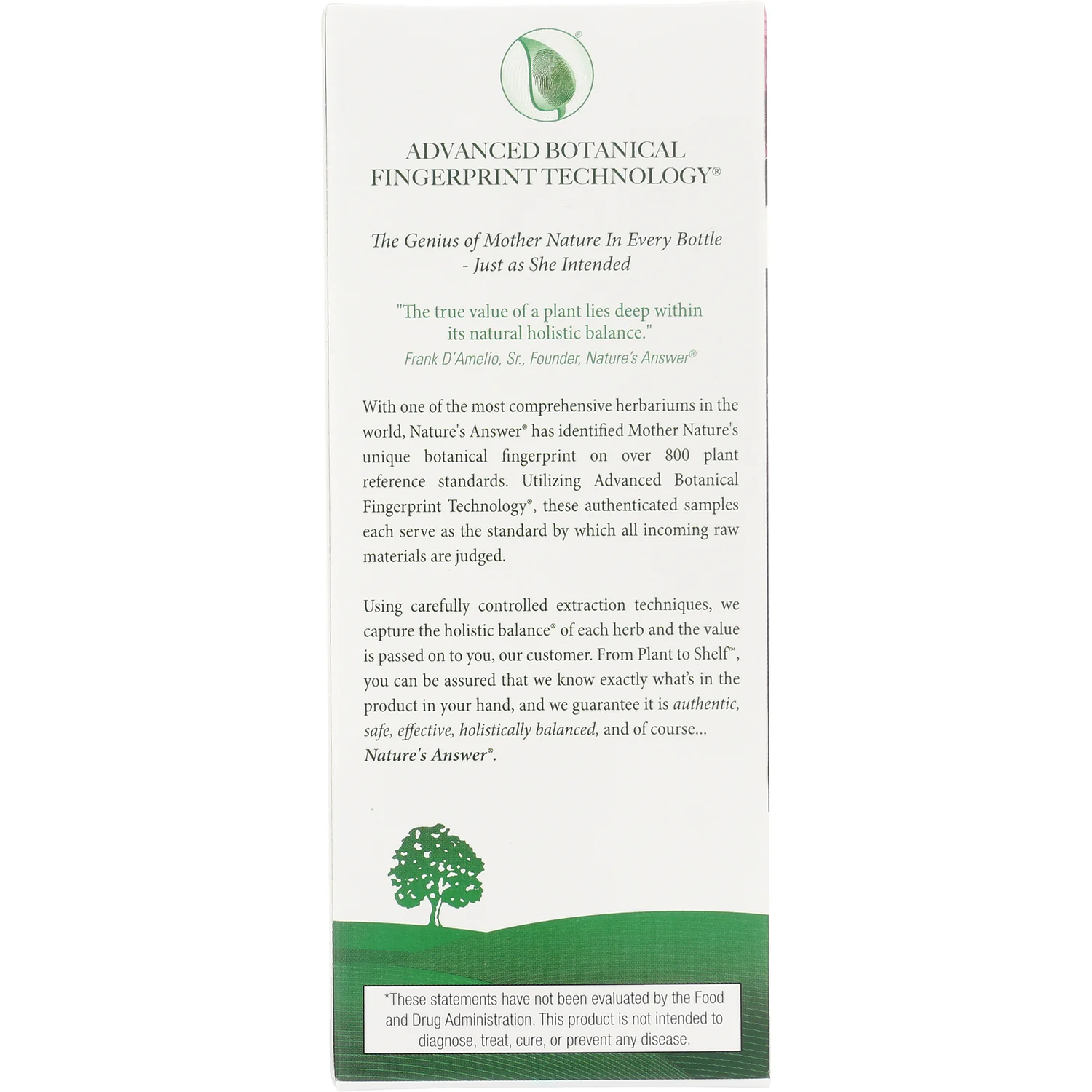 Sambucus Immune Black Elderberry - Image 4
