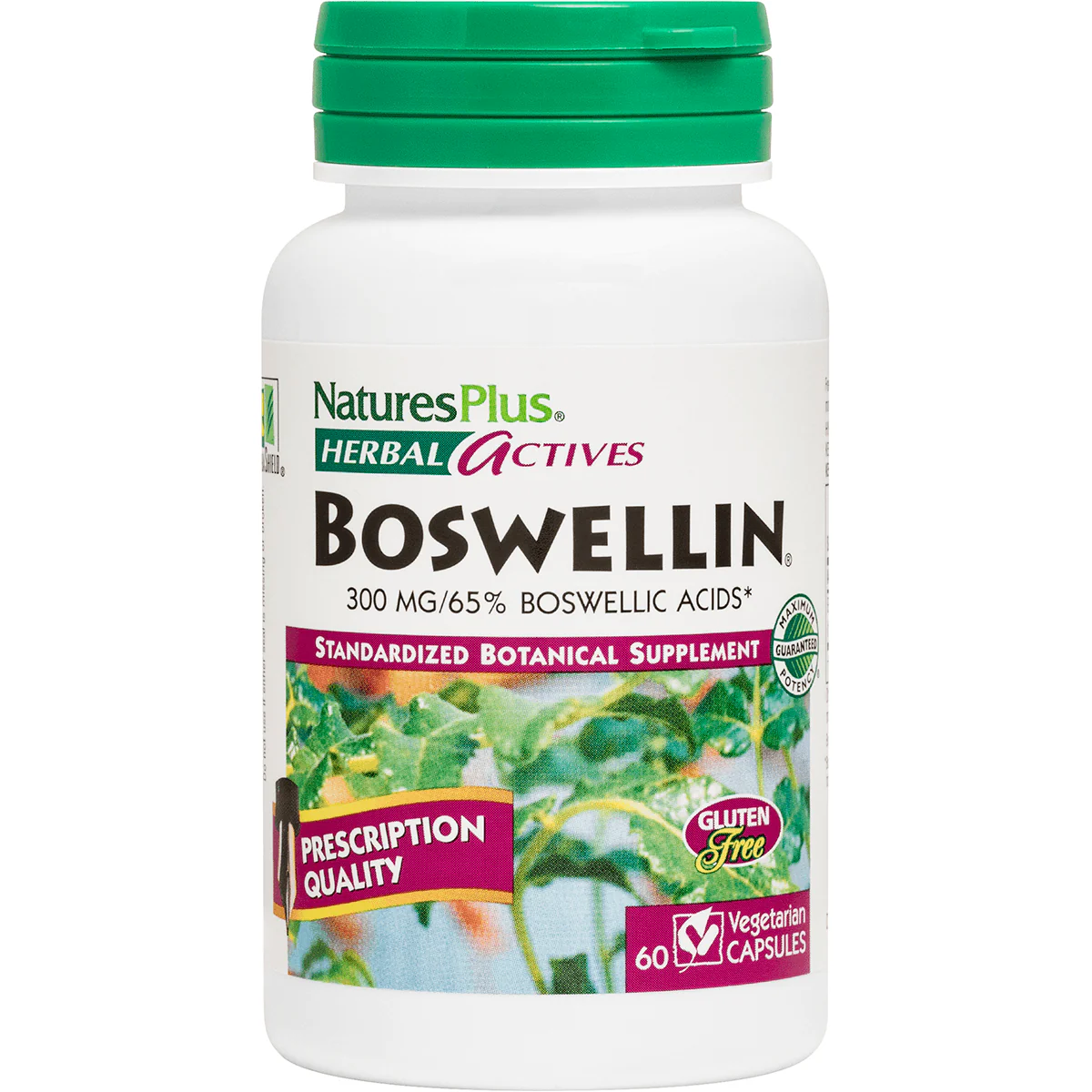 Herbal Actives Boswellin