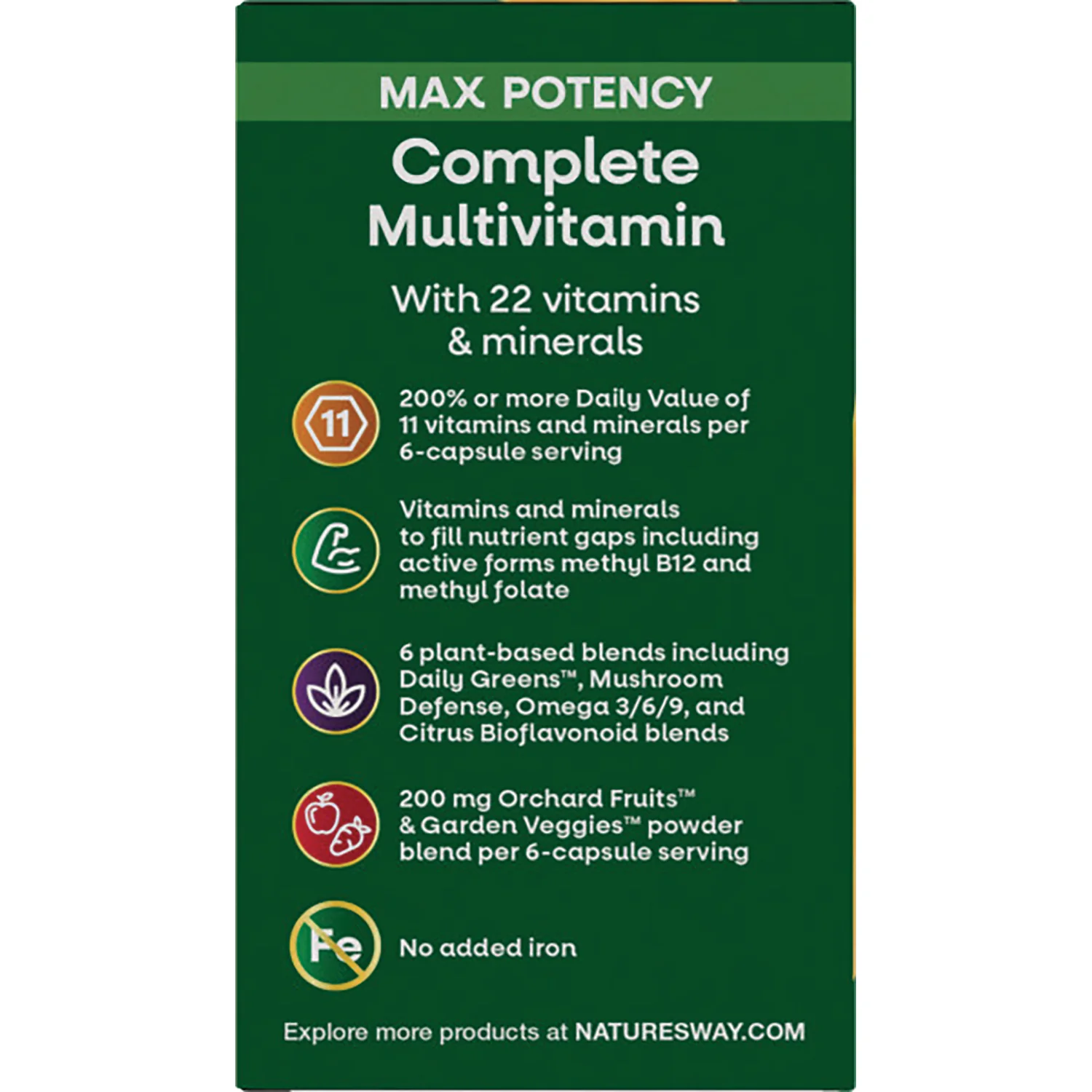Alive! Max 6 Potency Adult Complete Multivitamin - No Added Iron - Image 4