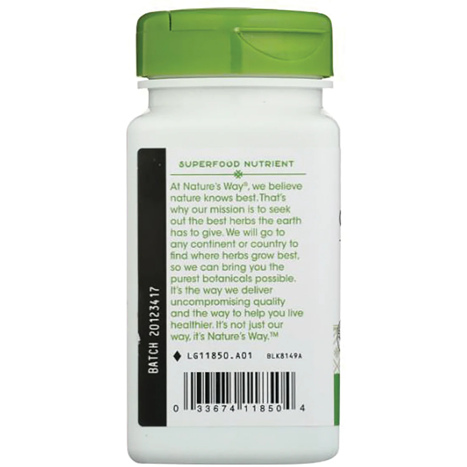 Chlorella Micro-Algae - Image 4