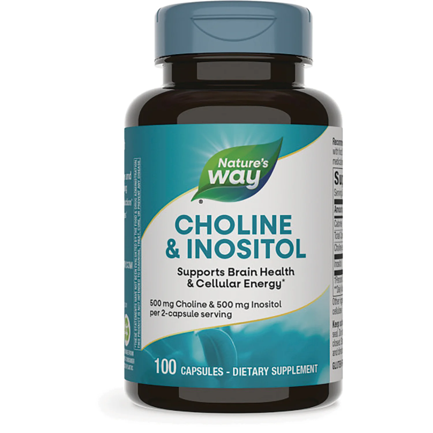 Choline & Inositol