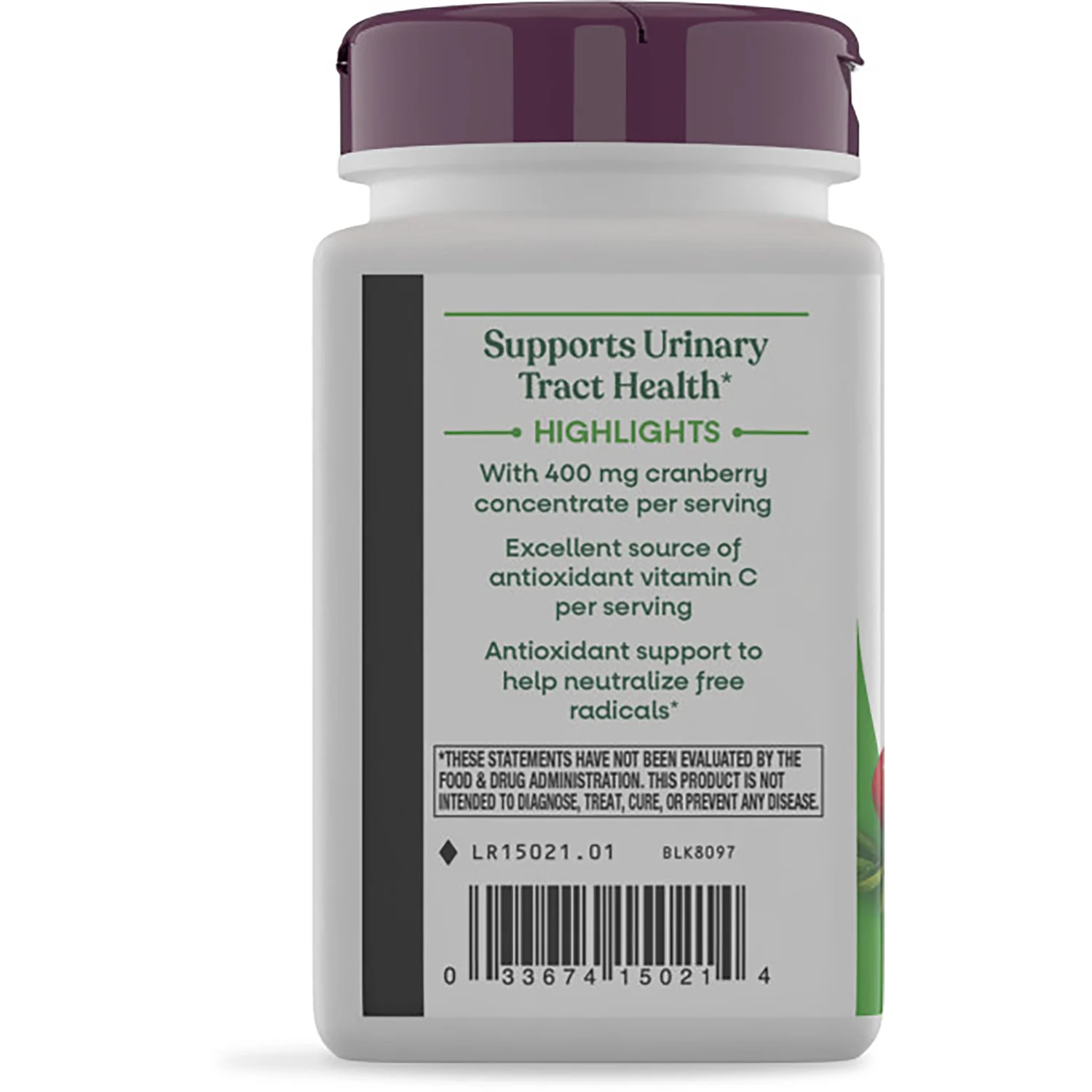 Cranberry Premium Blend - Image 4