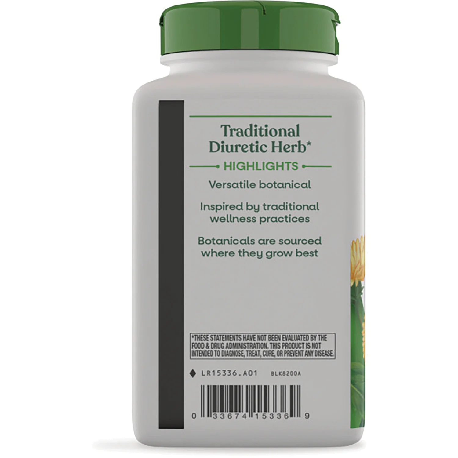 Dandelion  Root - Image 4