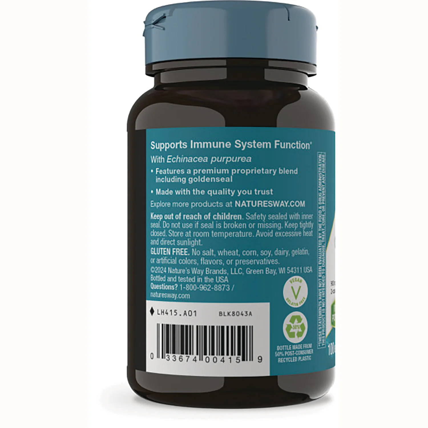 Echinacea Goldenseal - Image 3