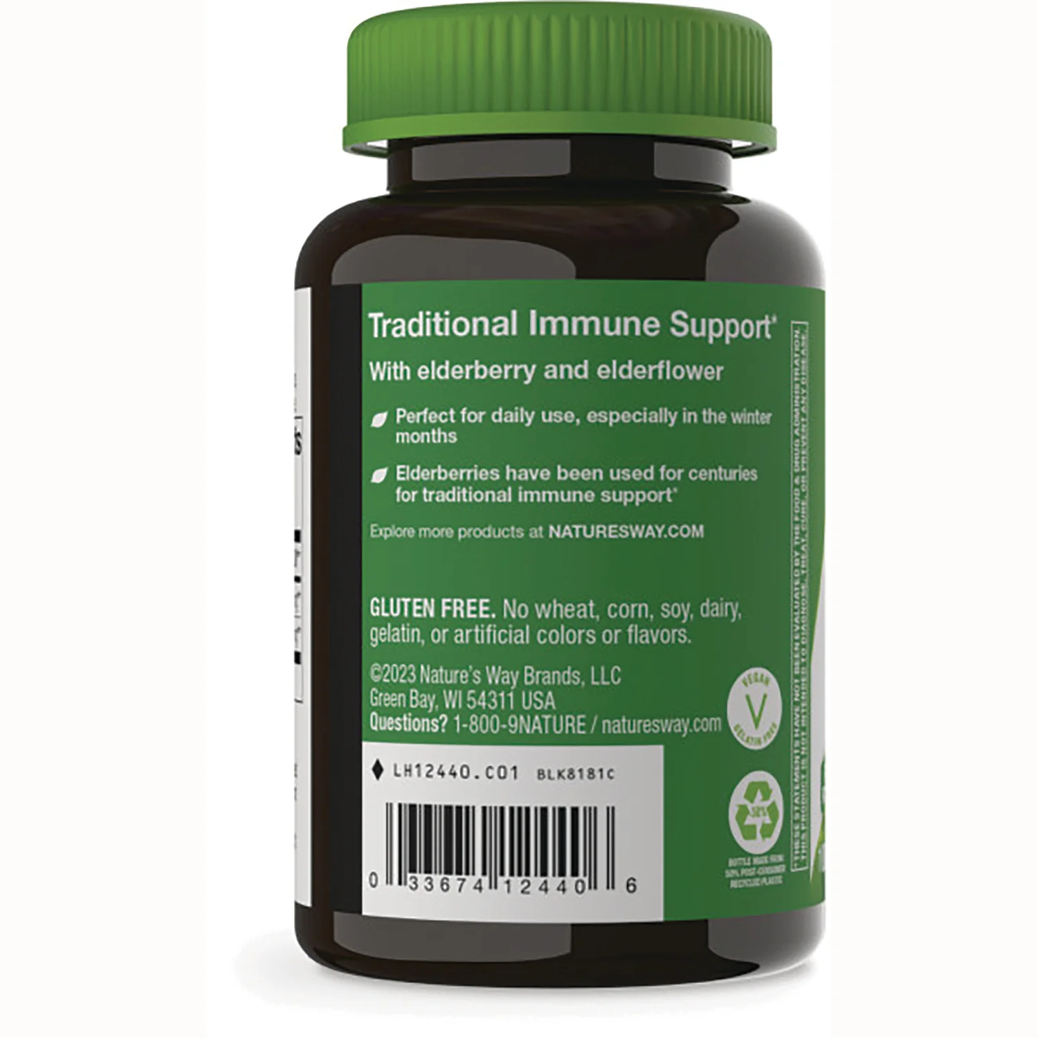 Black Elderberry - Image 3