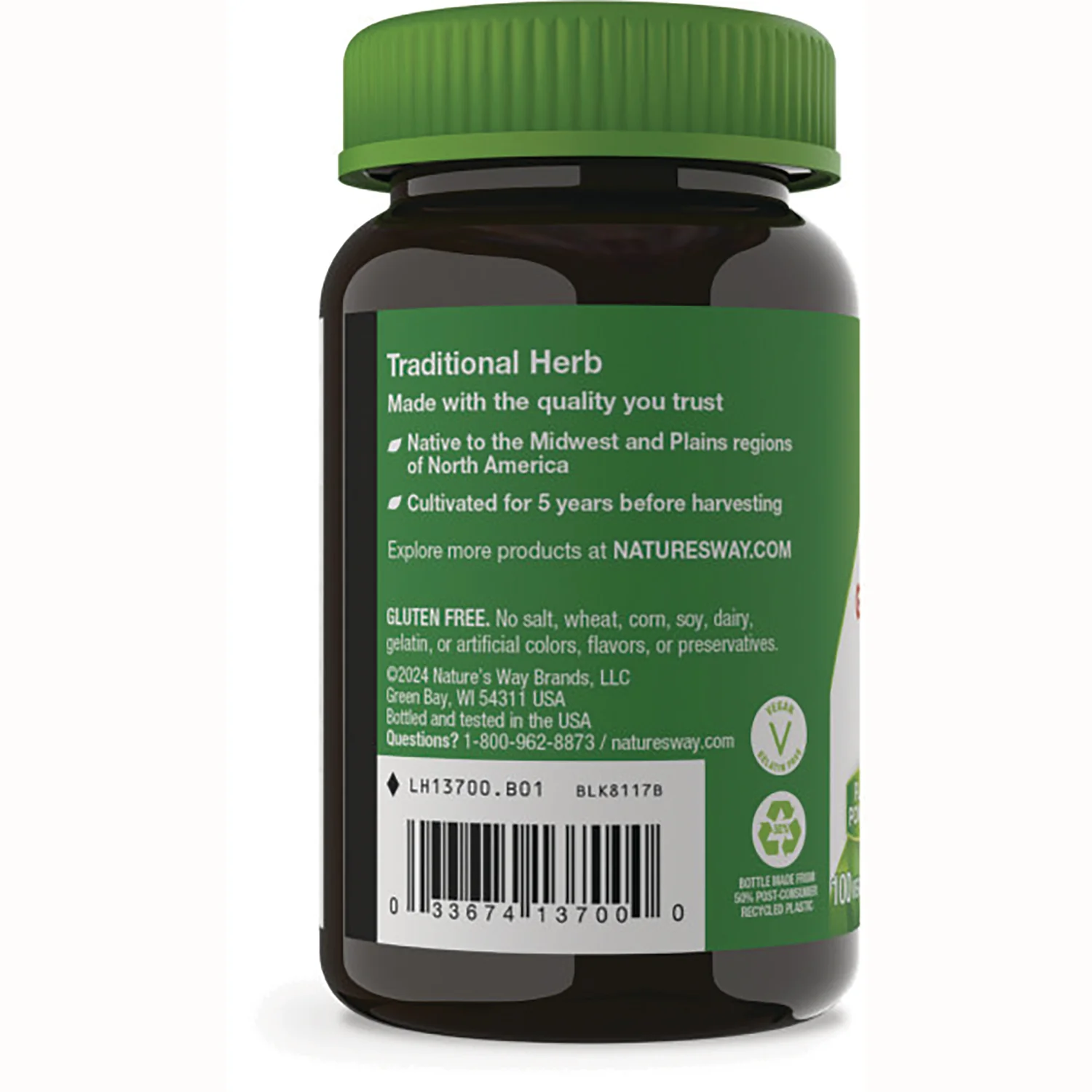 Goldenseal Herb - Image 3