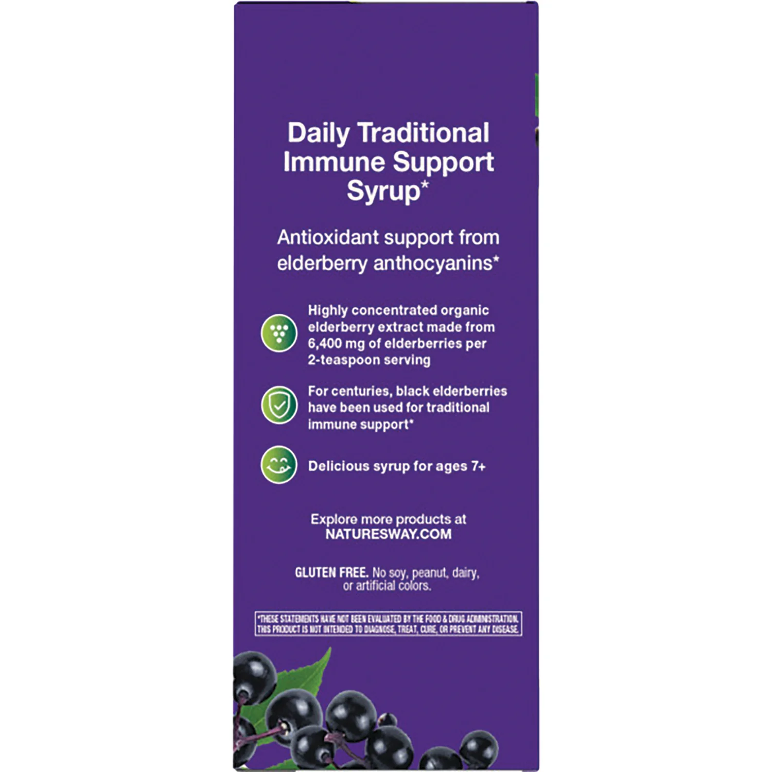 Sambucus Traditional Immune Syrup - Image 3