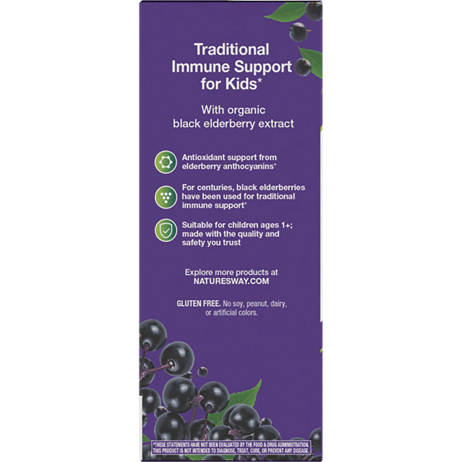 Kids Sambucus Traditional Immune Elderberry Syrup - Image 3