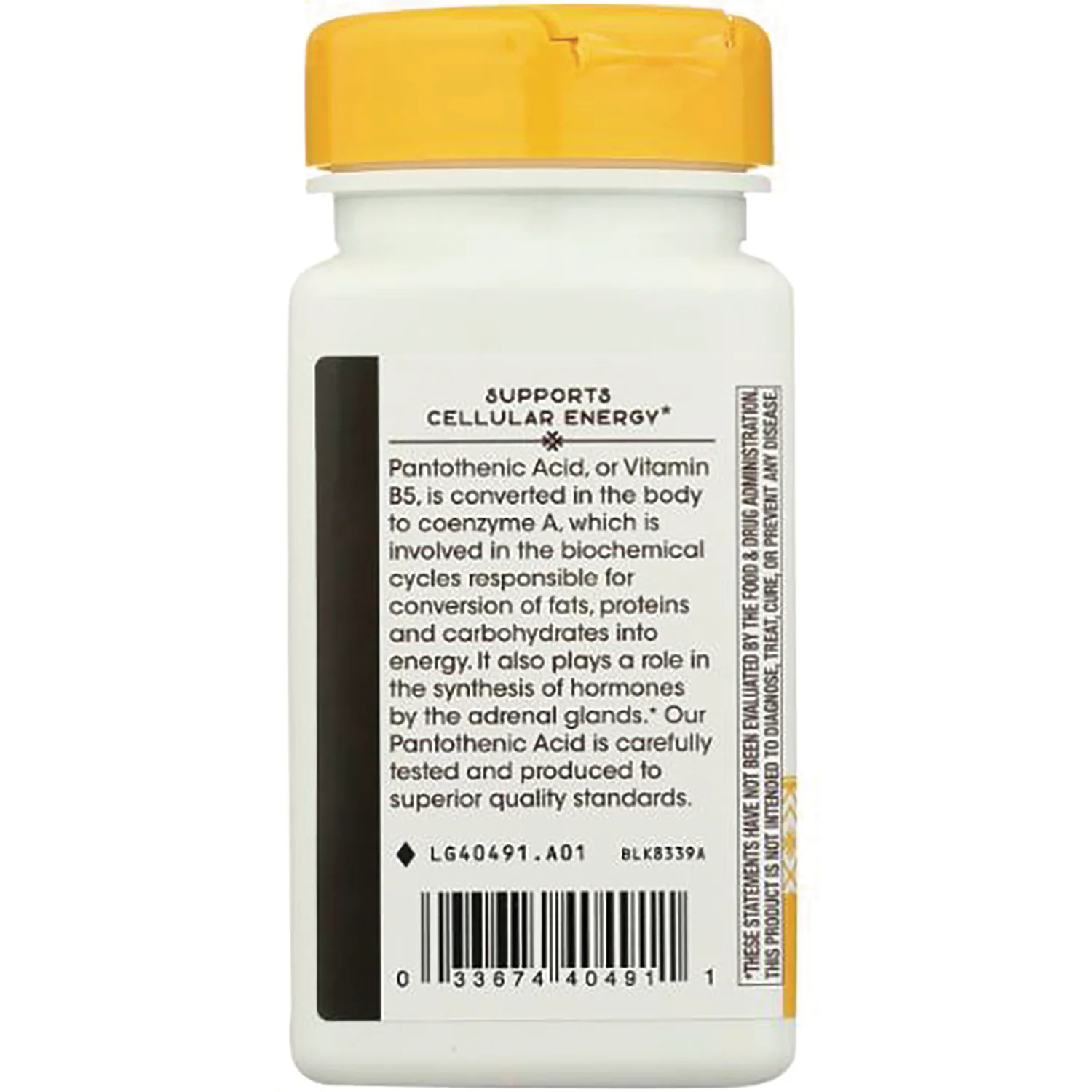 Pantothenic Acid Vitamin B5 - Image 4