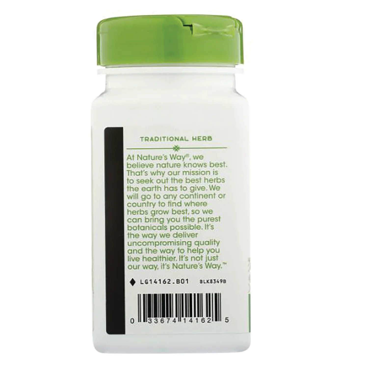 Rosemary Leaf - Image 4
